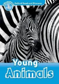 Young Animals Level 1